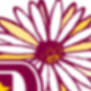 P.E.O.  Chapter CX