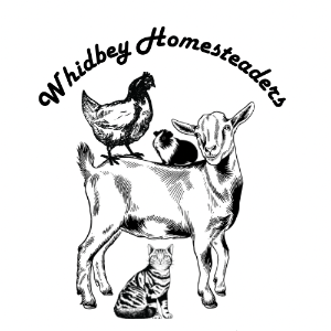 Whidbey Homesteaders 4-H club