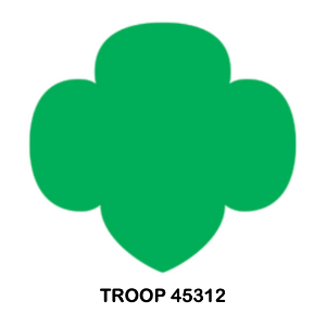 St Luke Girl Scout Troop 45312