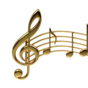 Lauren middle school PTO band fundraisor