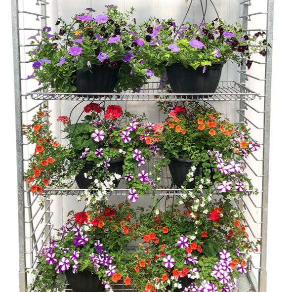 12 Inch Hanging Basket - SUN