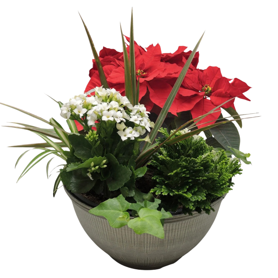 10" Tropical Planter